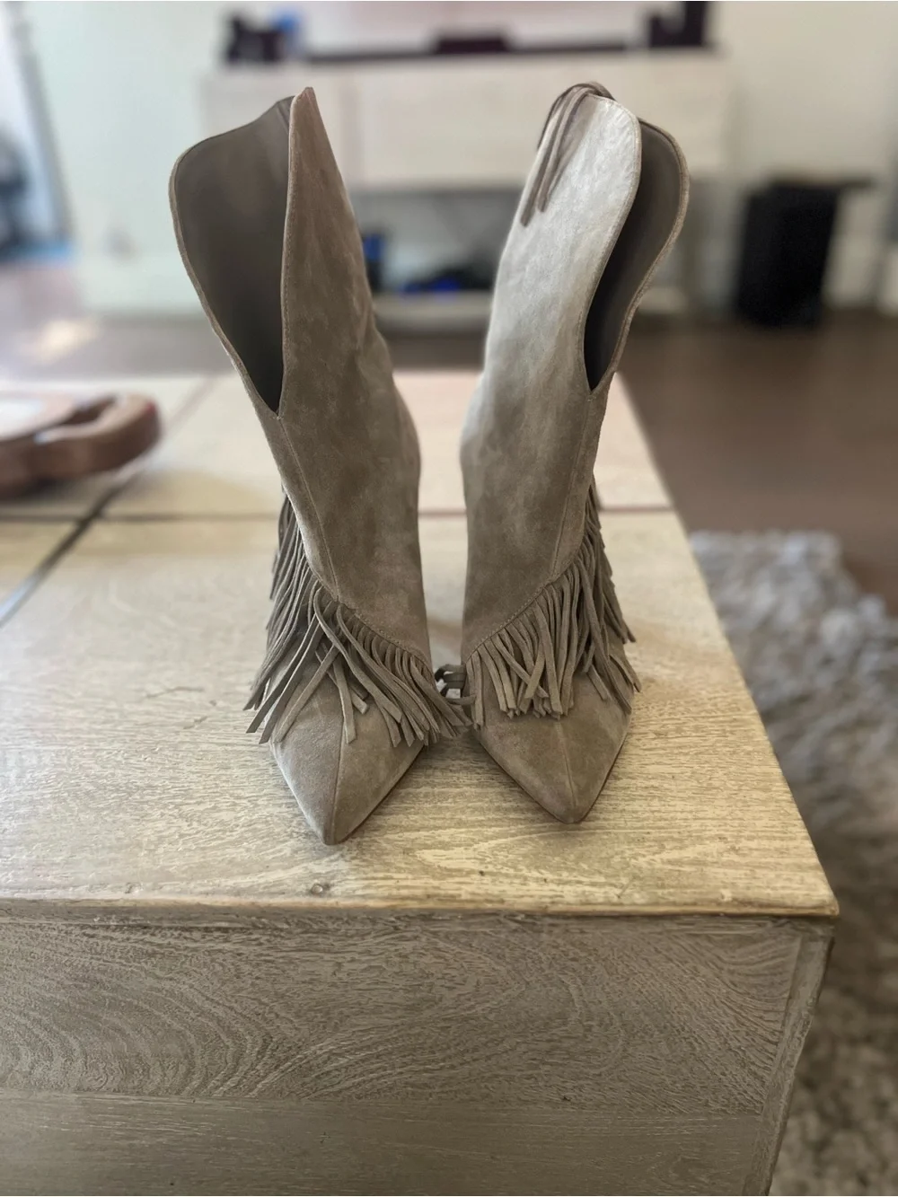 Sigerson Morrison Taupe Suede Fringe Pointed-Toe Knee Boots - Picture 1 of 4
